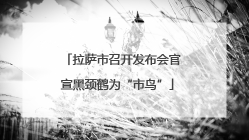 拉萨市召开发布会官宣黑颈鹤为“市鸟”