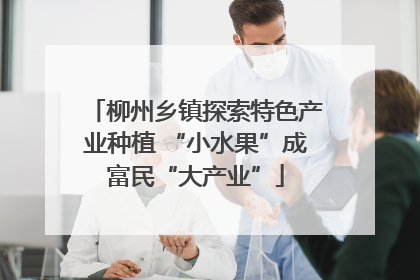 柳州乡镇探索特色产业种植 “小水果”成富民“大产业”