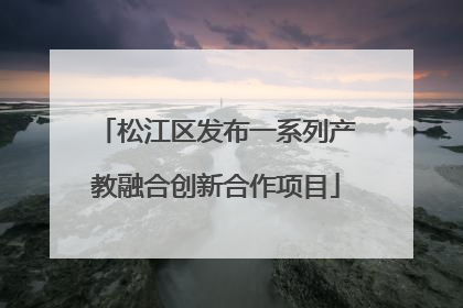 松江区发布一系列产教融合创新合作项目