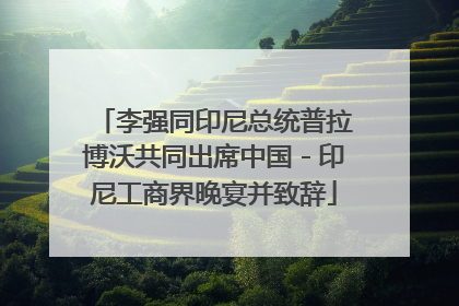 李强同印尼总统普拉博沃共同出席中国－印尼工商界晚宴并致辞