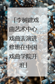 李树建戏曲艺术中心戏曲表演进修班在中国戏曲学院开班