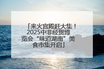 来火宫殿赶大集！2025中非经贸博览会“味道湖南”美食市集开启