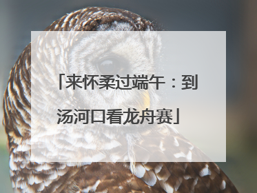 来怀柔过端午：到汤河口看龙舟赛