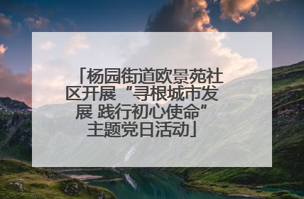 杨园街道欧景苑社区开展“寻根城市发展 践行初心使命”主题党日活动
