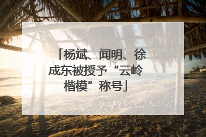 杨斌、闻明、徐成东被授予“云岭楷模”称号