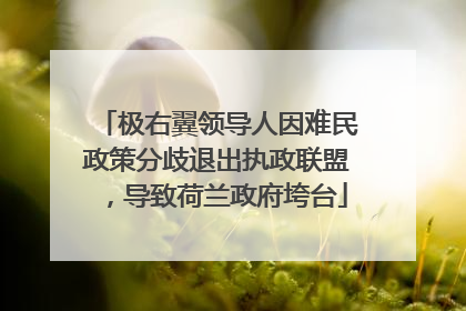 极右翼领导人因难民政策分歧退出执政联盟，导致荷兰政府垮台