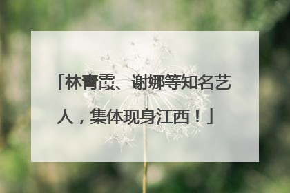 林青霞、谢娜等知名艺人，集体现身江西！
