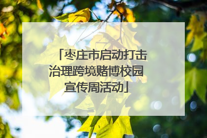 枣庄市启动打击治理跨境赌博校园宣传周活动