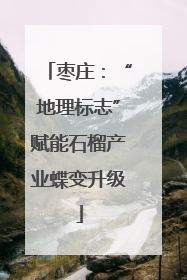 枣庄：“地理标志”赋能石榴产业蝶变升级