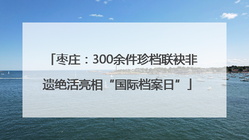 枣庄：300余件珍档联袂非遗绝活亮相“国际档案日”