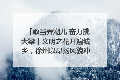 敢当弄潮儿 奋力挑大梁｜文明之花开遍城乡，徐州以昂扬风貌冲刺“万亿之城”