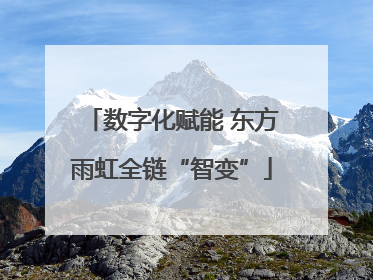 数字化赋能 东方雨虹全链“智变”