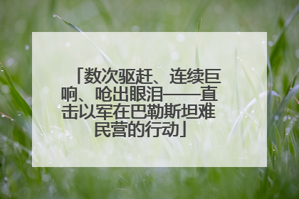 数次驱赶、连续巨响、呛出眼泪——直击以军在巴勒斯坦难民营的行动