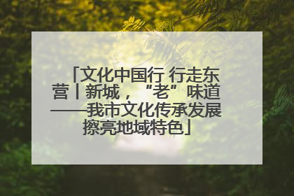 文化中国行 行走东营丨新城，“老”味道——我市文化传承发展擦亮地域特色