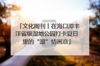 文化周刊丨在海口潭丰洋省级湿地公园打卡夏日里的“湿”情画意
