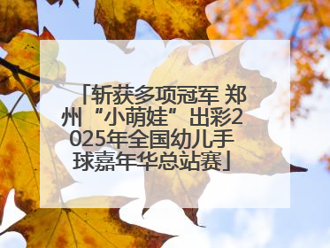 斩获多项冠军 郑州“小萌娃”出彩2025年全国幼儿手球嘉年华总站赛