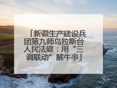 新疆生产建设兵团第九师乌拉斯台人民法庭：用“三调联动”解牛事