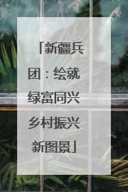 新疆兵团：绘就绿富同兴乡村振兴新图景