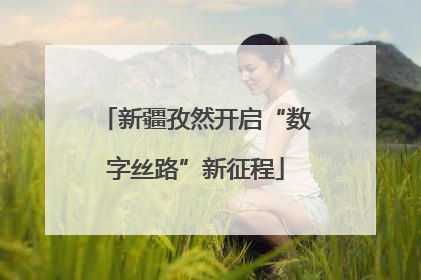 新疆孜然开启“数字丝路”新征程