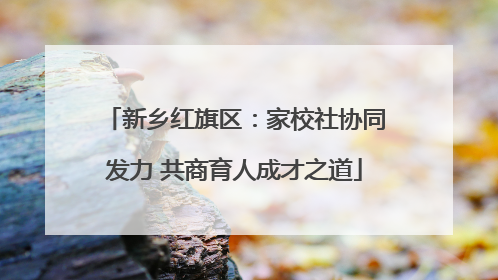 新乡红旗区：家校社协同发力 共商育人成才之道
