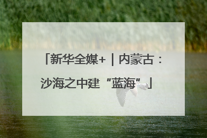 新华全媒+｜内蒙古：沙海之中建“蓝海”