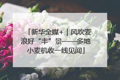 新华全媒+｜风吹麦浪好“丰”景——多地小麦机收一线见闻