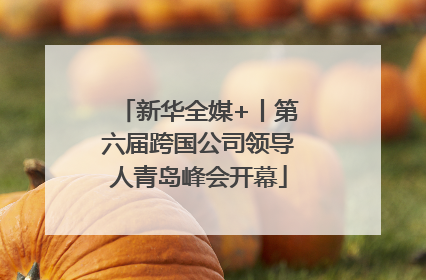 新华全媒+丨第六届跨国公司领导人青岛峰会开幕