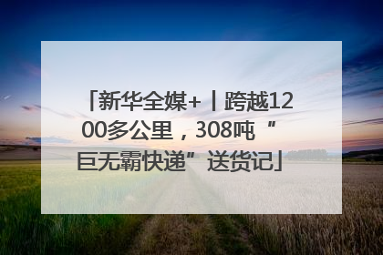 新华全媒+丨跨越1200多公里，308吨“巨无霸快递”送货记