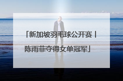 新加坡羽毛球公开赛丨陈雨菲夺得女单冠军