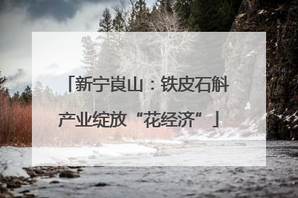 新宁崀山：铁皮石斛产业绽放“花经济”