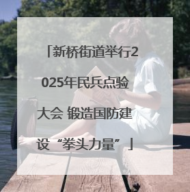 新桥街道举行2025年民兵点验大会 锻造国防建设“拳头力量”