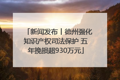 新闻发布丨德州强化知识产权司法保护 五年挽损超930万元