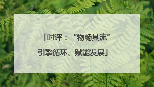 时评：“物畅其流”引擎循环、赋能发展