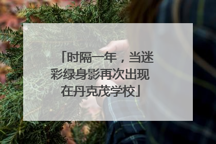 时隔一年，当迷彩绿身影再次出现在丹克茂学校