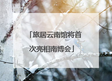 旅居云南馆将首次亮相南博会