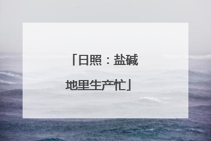 日照：盐碱地里生产忙