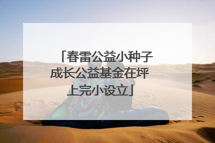 春雷公益小种子成长公益基金在坪上完小设立