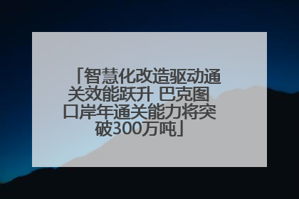智慧化改造驱动通关效能跃升 巴克图口岸年通关能力将突破300万吨