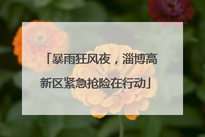 暴雨狂风夜，淄博高新区紧急抢险在行动