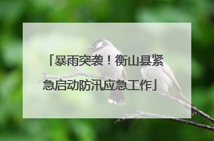 暴雨突袭！衡山县紧急启动防汛应急工作