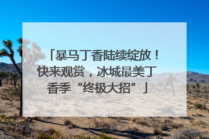 暴马丁香陆续绽放！快来观赏，冰城最美丁香季“终极大招”