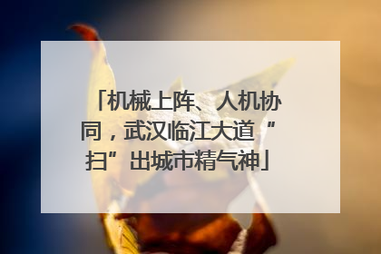 机械上阵、人机协同，武汉临江大道“扫”出城市精气神