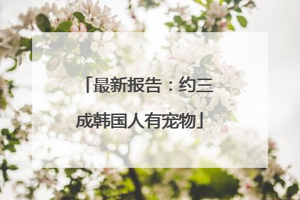 最新报告：约三成韩国人有宠物