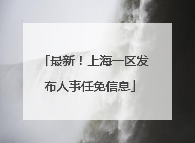 最新！上海一区发布人事任免信息