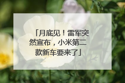 月底见！雷军突然宣布，小米第二款新车要来了