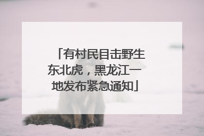 有村民目击野生东北虎，黑龙江一地发布紧急通知
