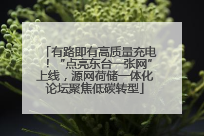 有路即有高质量充电！“点亮东台一张网”上线，源网荷储一体化论坛聚焦低碳转型