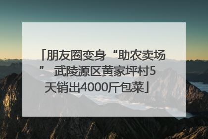 朋友圈变身“助农卖场” 武陵源区黄家坪村5天销出4000斤包菜