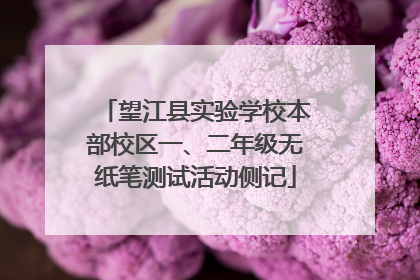 望江县实验学校本部校区一、二年级无纸笔测试活动侧记