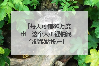 每天可储80万度电！这个大型锂钠混合储能站投产